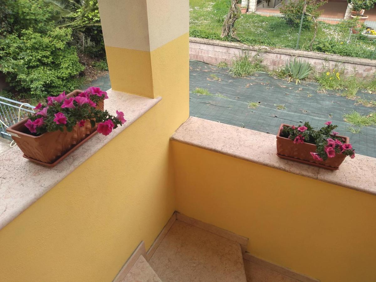 B&B Rosa Dei Venti Orvieto Zewnętrze zdjęcie
